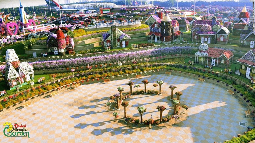 65[-]triệu[-]bông[-]hoa[-]rực[-]rỡ[-]giữa[-]Dubai[-]khô[-]cằn